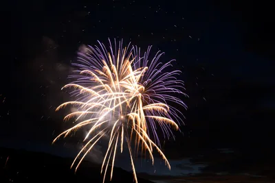 DSC_3348 (Large).JPG